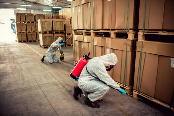 Best Bed Bug Extermination  in Greilickville, MI