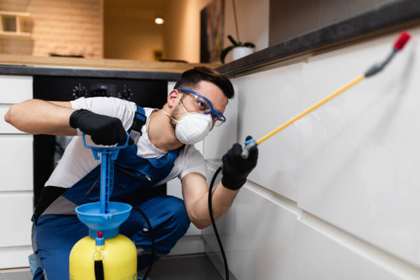 Best Best Pest Control Companies  in Greilickville, MI