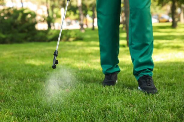 Pest Prevention Services in Greilickville, MI