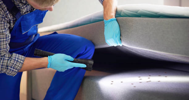 Best Emergency Pest Control  in Greilickville, MI