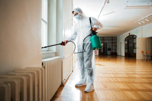 Best Local Pest Control Services  in Greilickville, MI