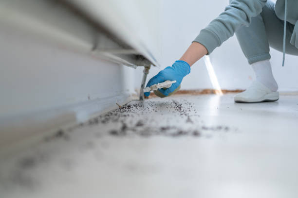 Best Cockroach Control Services  in Greilickville, MI