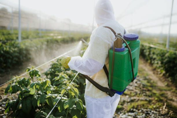 Best Pest Removal Services  in Greilickville, MI